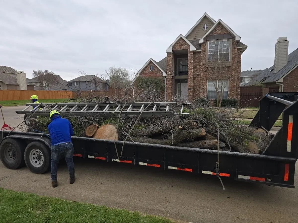 Expert Lot Clearing with proper safety equipment in Glasford